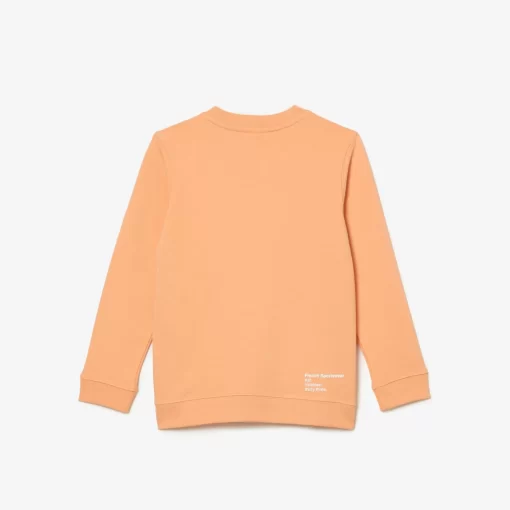 Lacoste Boy Clothing-Boys' Ribbed Crew Neck Sweatshirt