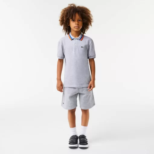 Lacoste Boy Clothing-Boys' Tricolour Collar Cotton Petit Pique Polo