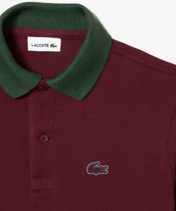 Lacoste Boy Clothing-Colourblock Cotton Pique Polo Shirt