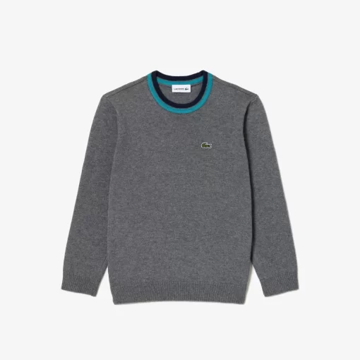 Lacoste Boy Clothing-Cotton And Merino Blend Sweater