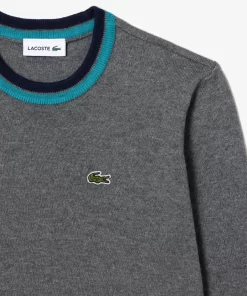 Lacoste Boy Clothing-Cotton And Merino Blend Sweater