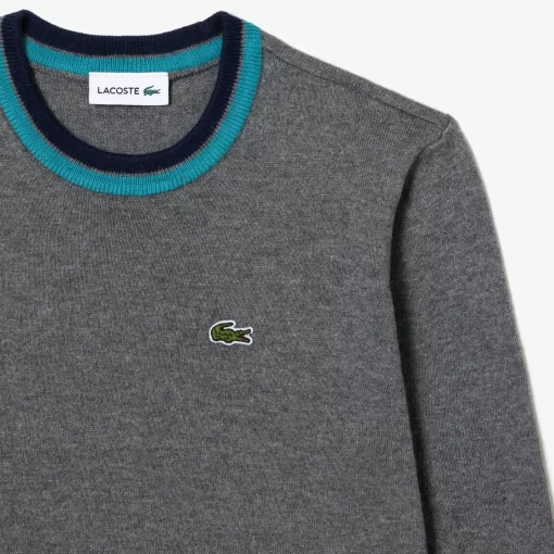 Lacoste Boy Clothing-Cotton And Merino Blend Sweater