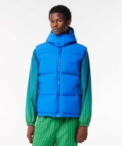 Lacoste Jackets & Coats-Down Gilet With Quilted Crocodile