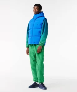 Lacoste Jackets & Coats-Down Gilet With Quilted Crocodile