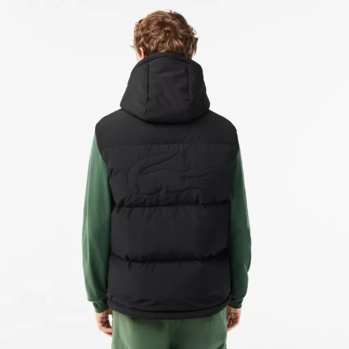 Lacoste Jackets & Coats-Down Gilet With Quilted Crocodile