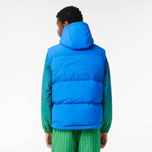 Lacoste Jackets & Coats-Down Gilet With Quilted Crocodile