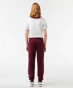 Lacoste Trousers & Shorts-Embroidered Regular Fit Jogger Track Pants