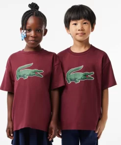 Lacoste Boy Clothing-Graphic Print Cotton T-Shirt