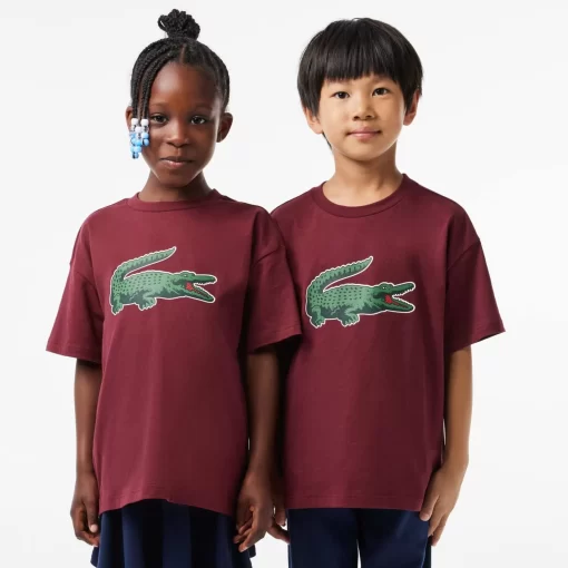 Lacoste Boy Clothing-Graphic Print Cotton T-Shirt