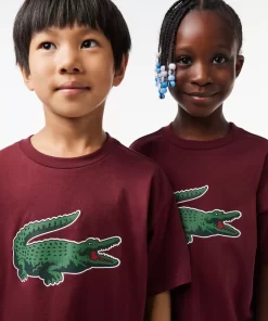 Lacoste Boy Clothing-Graphic Print Cotton T-Shirt