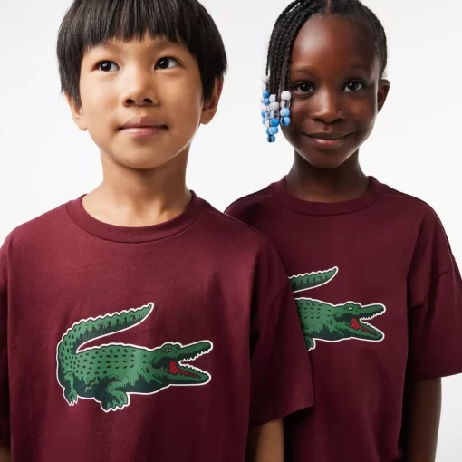 Lacoste Boy Clothing-Graphic Print Cotton T-Shirt