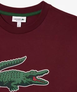 Lacoste Boy Clothing-Graphic Print Cotton T-Shirt