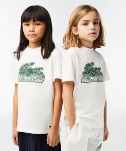 Lacoste Girl Clothing-Kids' Contrast Print Organic Cotton T-Shirt