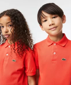 Lacoste Girl Clothing-Kids' Regular Fit Petit Pique Polo Shirt