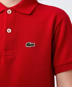 Lacoste Girl Clothing-Kids' Regular Fit Petit Pique Polo Shirt