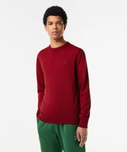 Lacoste Knitwear-Men'S Crew Neck Merino Wool Sweater