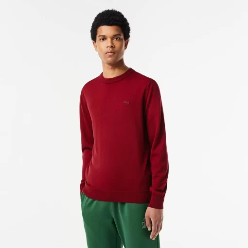 Lacoste Knitwear-Men'S Crew Neck Merino Wool Sweater