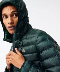 Lacoste Jackets & Coats-Men'S Quilted Hooded Short Jacket