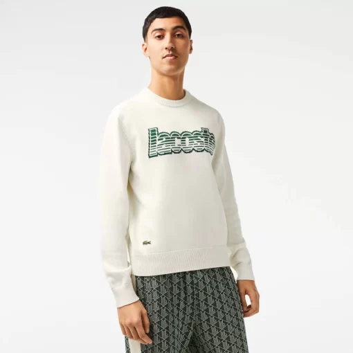 Lacoste Knitwear-Men'S Round Neck Jersey Sweater