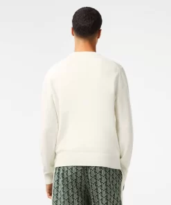 Lacoste Knitwear-Men'S Round Neck Jersey Sweater