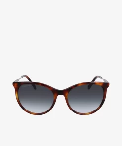 Lacoste Sunglasses-Oval Acetate Neoheritage Sunglasses