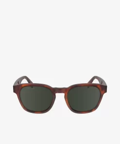 Lacoste Sunglasses-Oval Acetate Ribbon Sunglasses