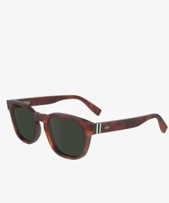 Lacoste Sunglasses-Oval Acetate Ribbon Sunglasses