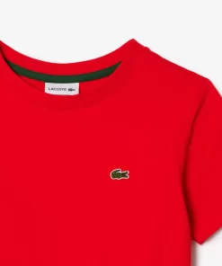 Lacoste Girl Clothing-Plain Cotton Jersey T-Shirt