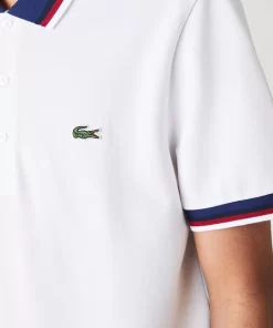 Lacoste Polo Shirts-Regular Fit Polo Shirt With Contrasting Collar