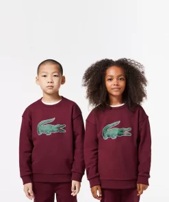 Lacoste Boy Clothing-Signature Print Jogger Sweatshirt