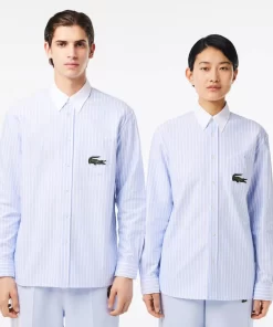 Lacoste Shirts & Tops-Striped Maxi Croc Contrast Collar Cotton Oxford Shirt