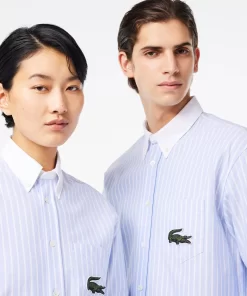 Lacoste Shirts & Tops-Striped Maxi Croc Contrast Collar Cotton Oxford Shirt